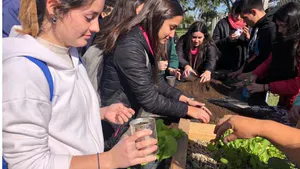 “Hacia una Transformación de los Sistemas Alimentarios. los Estudiantes Como Agentes de Cambio Sociocultural”