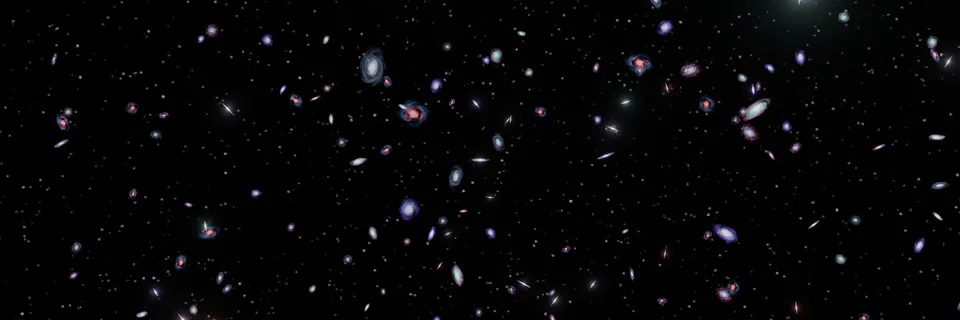 Palumbo-Nardelli 26D→10D Reduction and Golden Attractor