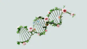 A Table that Produces DNA