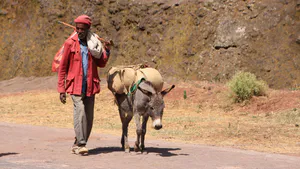 Exploring the Long-Run Dynamic Links between Access to Land and Food Security Evidence from Ethiopia