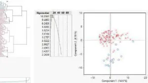 Practical Screening Method for Cancer Gene Diagnosis, How to Choose Cancer and Normal Patients by Four Principles
