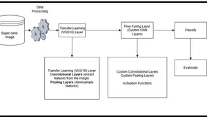 VGG16TLCCNN: Hybrid VGG16-Transfer Learning and Custom CNN Model for Sugarcane Disease Classification