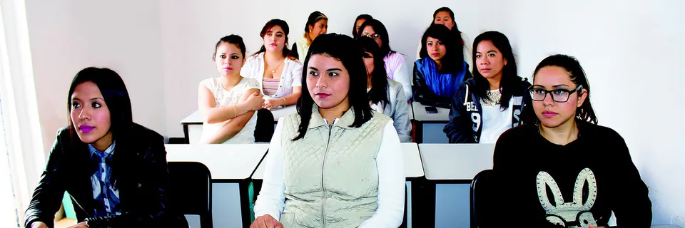 Causal Relation and Problem-Solution in Native and Non-Native Students’ Argumentation Essays based on the use of Problem