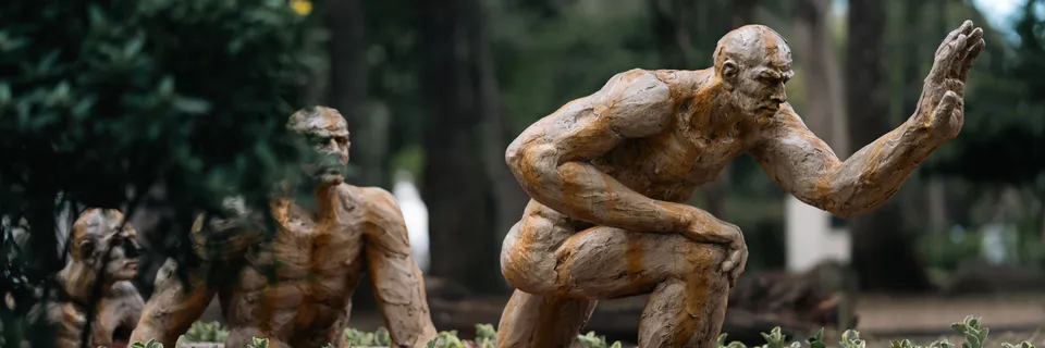 Evolution, Subconscious, and Social Systems