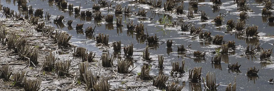 Capillary Action and Suction Effects on Stability