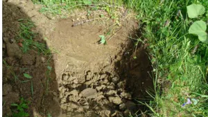 The Influence of Land Degradation Processes and the Evolution of the Soil Profile in the Area of Izvorul Muntelui Lake
