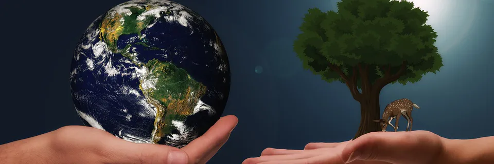 Environmental Disclosure's Positive Impact on Market Value