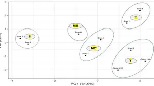 Multivariable Analysis and Phenotypic Diversity Studied for Some Barley Genotypes under Heat Stress