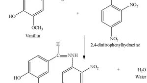 Walatimine (Vanillyl butyl imine): A New Ketimine from Schiff base Synthesis and Evaluation of its Antioxidant, Antibacterial and Antifungal Properties