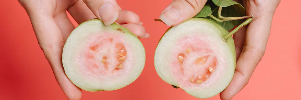 Potential Encapsulating Microparticle from Degreased Dry Flour of Guava Seeds