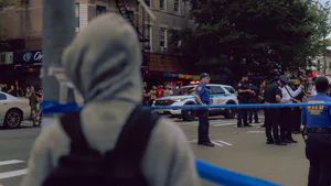 Multitudinary Crimes in the Scope of the Collective Criminal Process