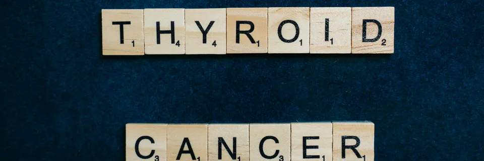 Is Primary Hypothyroidism Truly Primary? A Systems-based Reframing of Thyroid Dysfunction