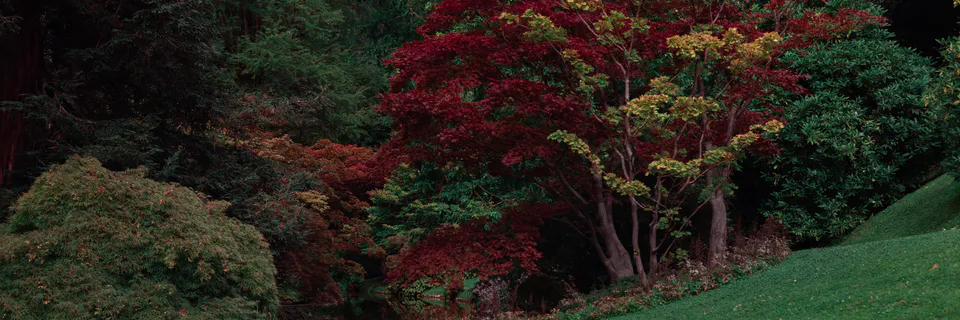 Exploring Nature’s Reality: A Study through the Poetry of Wordsworth and Keats
