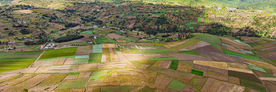 Poverty Reduction in Africa: A Continental Industrial Policy that Enhances Productive Capability and Creates Permanent Employment to Increase Disposable Income that Fosters Effective Demand in Africa’s Economy.