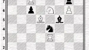 A New Method of Solving Chess Problems based on a Purely Mathematical Solution
