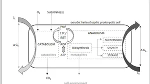 Physically Defining Life: A Thermodynamic Systems Analysis of Biology