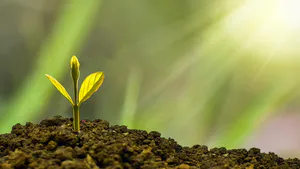 Incorporating “Making to Yourselves Friends of the Mammon of Unrighteousness” into Business Ethics Education: A Theological Ethical Perspective on Teaching Capital Stewardship