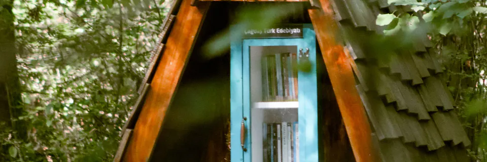 Children's Poetry: Adult Essence & Education