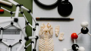 The Epistemic Resources of Bioethics and its Legitimation in Higher Education