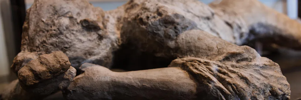 Terminology Analysis in Archaeological Restoration
