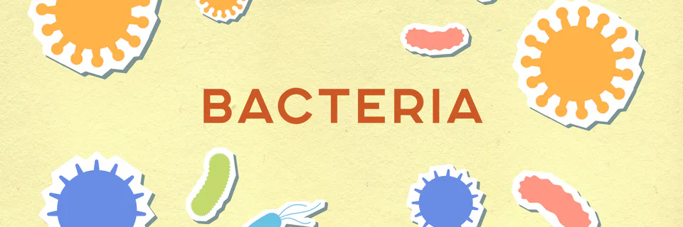 Bacterial Duplication Number Invariant in Relativity