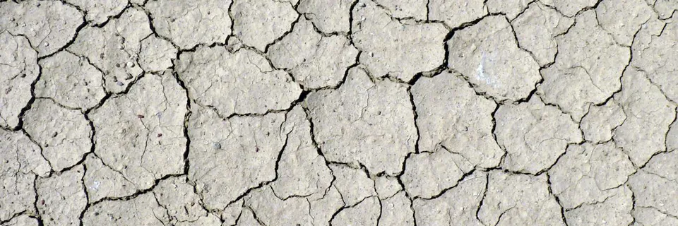 Cotton Nematode Threats in Burkina Faso Unveiled