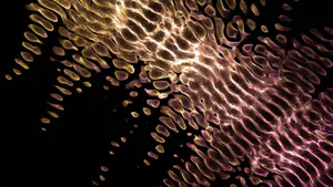 Fluctuation-Dissipation Relations for the Shock Compression of Hydrodynamic Solids