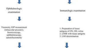 Immunological Markers of Practically Healthy Persons’ Visual Analyzer State