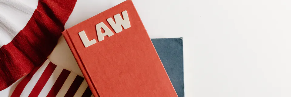The Constitution of India: Working of the Fundamental Rights and Directive Principles
