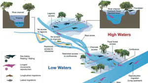 Existing Relationship between Morphological Predictors and Home Range Size of the Amazon River Dolphin (Inia spp.) in the Amazon and Orinoco basins?