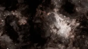 Sixfold Discrete Symmetry Explains Dark Matter