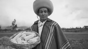 Ethnolinguistics and Lexical Contact between Spanish and Mapudungun for an Intercultural Territory