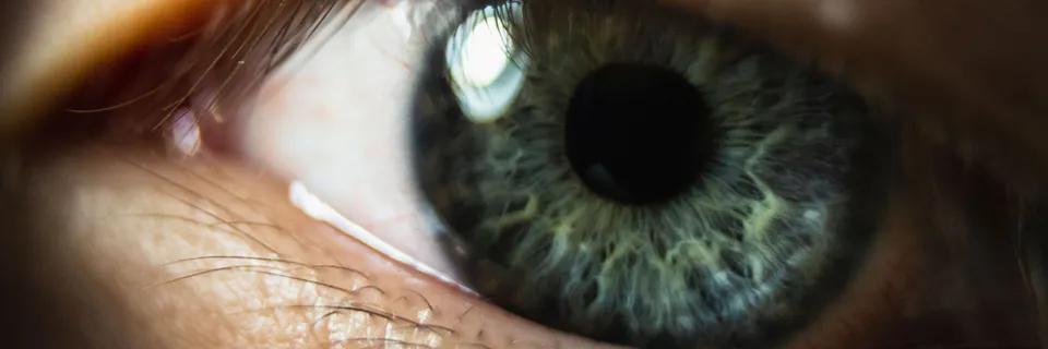 Surgical Outcomes and Foveal Thickness in Macular Hole Treatment