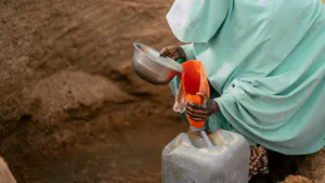 What can we Learn from the UN Mission in Mali. Contribution to the Future of Peacekeeping