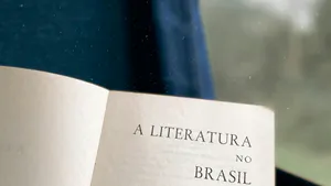 Gênese e estrutura de um paracampo literário na contemporaneidade brasileira