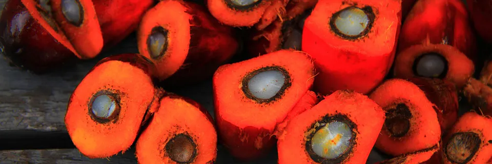 Biodiversity and Conservation of Tropical Fruit Trees