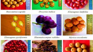 Biodiversity and Conservation of Fruit Crops with their Wild Relatives: A Review