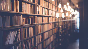 Cost Management as A Strategy for Competitiveness in Private Higher Education Institutions in Cabinda