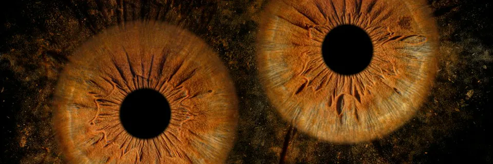 Symmetry Reveals Consciousness in Language