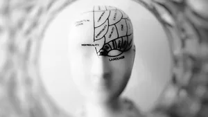 The Relationship between Consciousness and Linguistic Data to Formalize