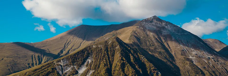 The Price of Survival. On the Ontology of Animals in Transcaucasia, using the Example of Georgia
