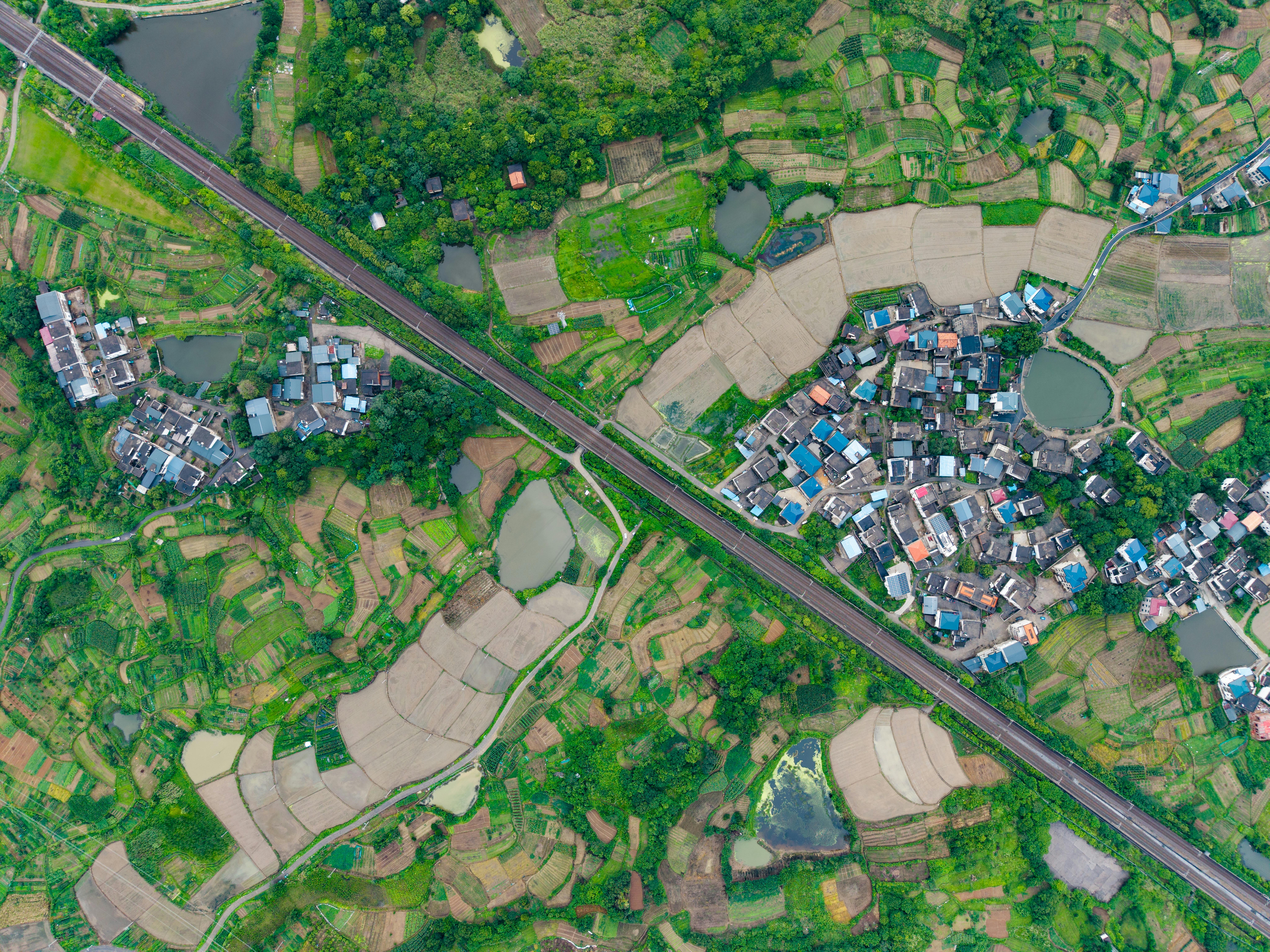 Spatial Analysis of Sustainable Agricultural Diversification in Aligarh District, Uttar Pradesh: “A Village-Level Study.”