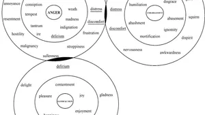 Linguistic Representation of Emotional and Evaluative Overtones in English Literary Discourse
