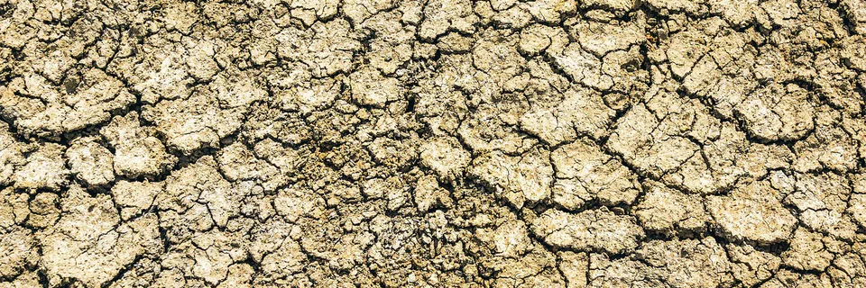 Short and Long term Effects of Water Markets
