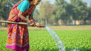 Short and Long term Effects of Water Markets