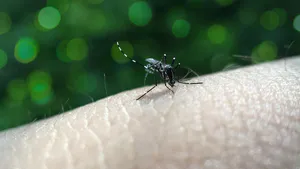 Study of Biochemical Parameters among Hospital Admitted Dengue Patients from Day of Admission to Discharge: A Cross Sectional Study
