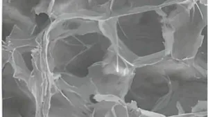 A Review on Innovative Nanocellulose Solutions for Wastewater Treatment and Reusability of Nanocellulose