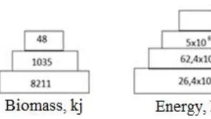 Concept of the “Minimum Energy Expenditure” Principle