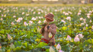 Extension is basis of smallholder agriculture development in South Sudan