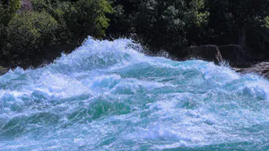 Method and Algorithm for Calculation of Turbulent Flows